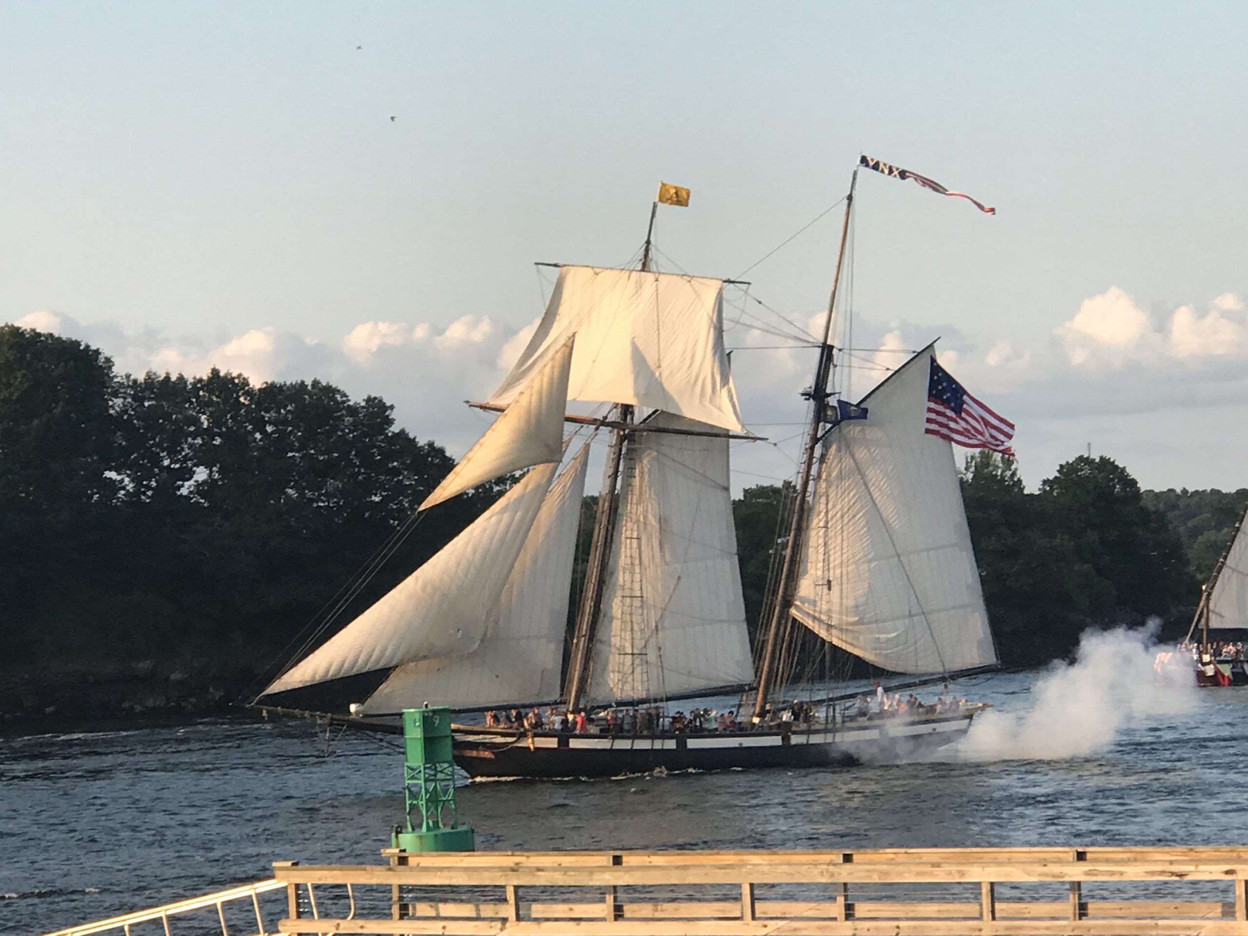 Lynx in the Parade of Sail
